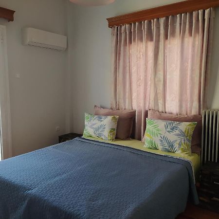 Helen'S Downtown Apartment Ioannina Exterior photo